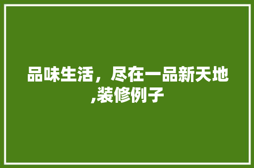 品味生活，尽在一品新天地,装修例子