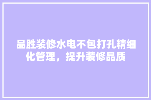 品胜装修水电不包打孔精细化管理，提升装修品质
