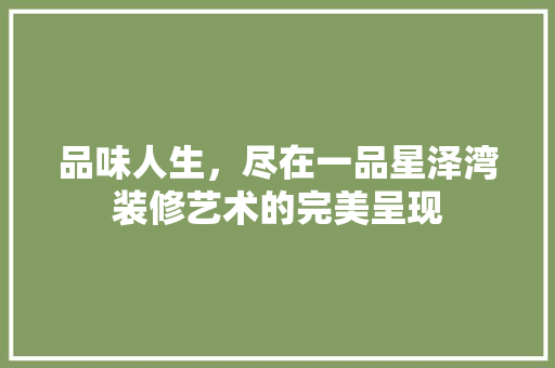 品味人生，尽在一品星泽湾装修艺术的完美呈现