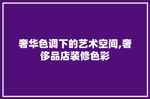 奢华色调下的艺术空间,奢侈品店装修色彩