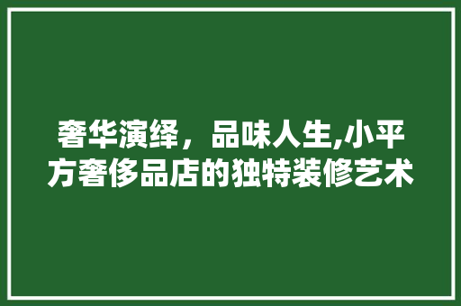 奢华演绎，品味人生,小平方奢侈品店的独特装修艺术
