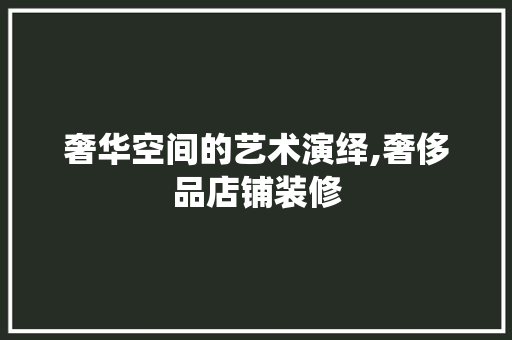 奢华空间的艺术演绎,奢侈品店铺装修