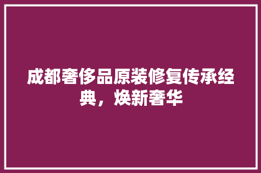成都奢侈品原装修复传承经典，焕新奢华