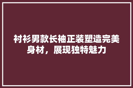 衬衫男款长袖正装塑造完美身材，展现独特魅力