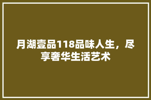 月湖壹品118品味人生，尽享奢华生活艺术