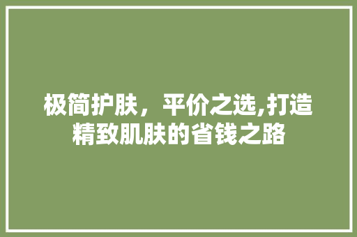 极简护肤，平价之选,打造精致肌肤的省钱之路