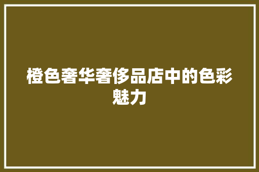 橙色奢华奢侈品店中的色彩魅力