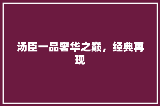 汤臣一品奢华之巅，经典再现
