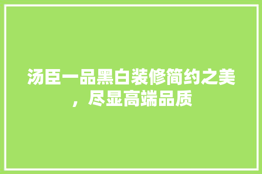汤臣一品黑白装修简约之美，尽显高端品质