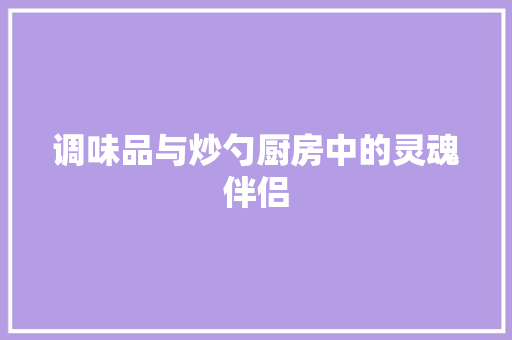 调味品与炒勺厨房中的灵魂伴侣