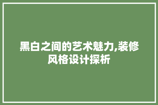 黑白之间的艺术魅力,装修风格设计探析