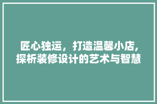 匠心独运，打造温馨小店,探析装修设计的艺术与智慧