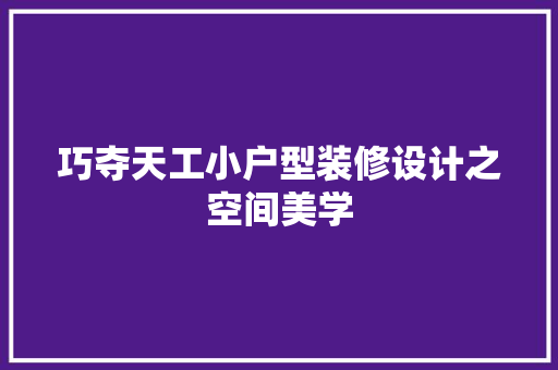巧夺天工小户型装修设计之空间美学