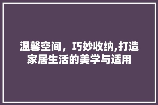 温馨空间，巧妙收纳,打造家居生活的美学与适用