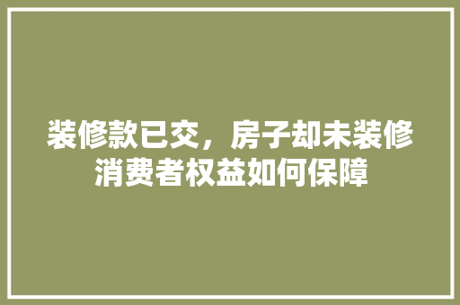 装修款已交，房子却未装修消费者权益如何保障