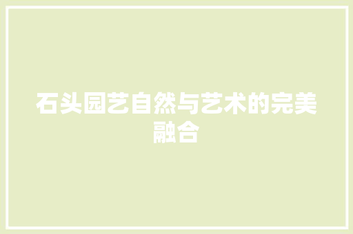 石头园艺自然与艺术的完美融合