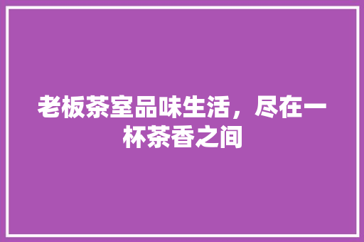 老板茶室品味生活，尽在一杯茶香之间