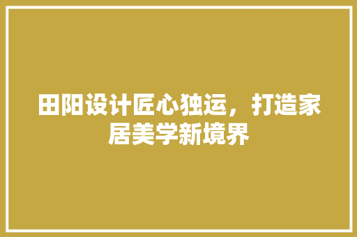 田阳设计匠心独运，打造家居美学新境界  第1张
