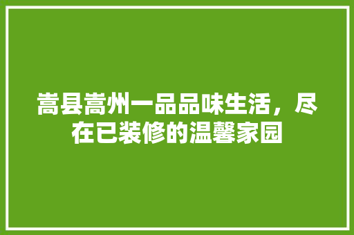 嵩县嵩州一品品味生活，尽在已装修的温馨家园