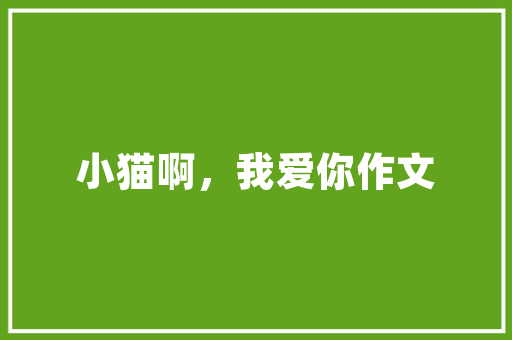 2025装修设计比赛创新与传承的完美融合