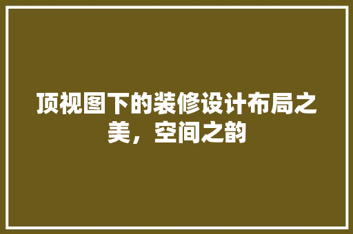 顶视图下的装修设计布局之美，空间之韵