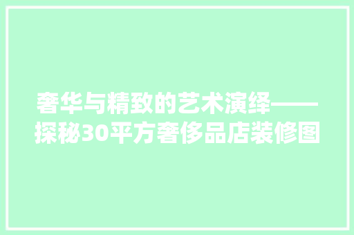 奢华与精致的艺术演绎——探秘30平方奢侈品店装修图