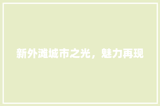 新外滩城市之光，魅力再现