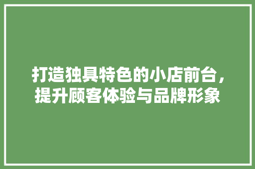 打造独具特色的小店前台，提升顾客体验与品牌形象