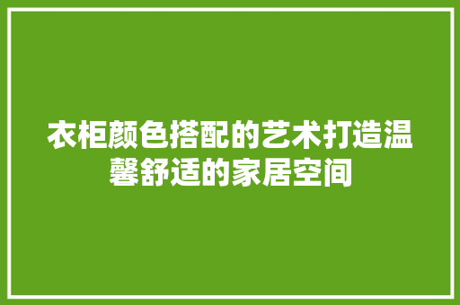 衣柜颜色搭配的艺术打造温馨舒适的家居空间  第1张