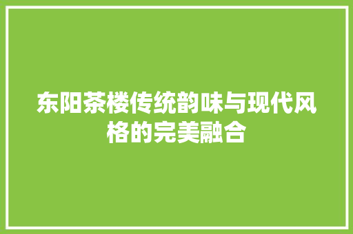 东阳茶楼传统韵味与现代风格的完美融合