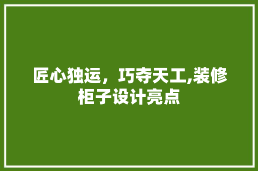 匠心独运，巧夺天工,装修柜子设计亮点