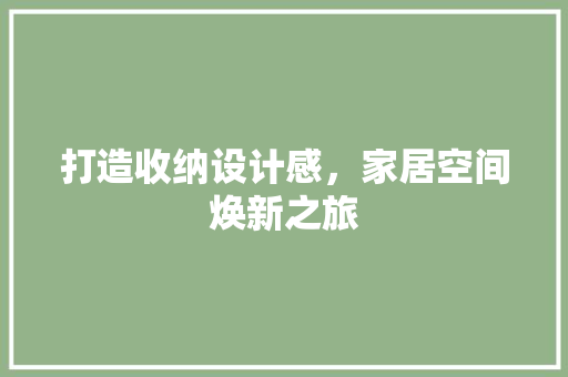 打造收纳设计感，家居空间焕新之旅