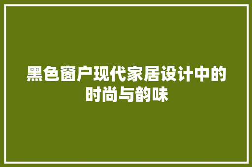 黑色窗户现代家居设计中的时尚与韵味