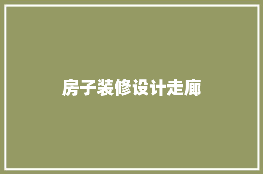 房子装修设计走廊